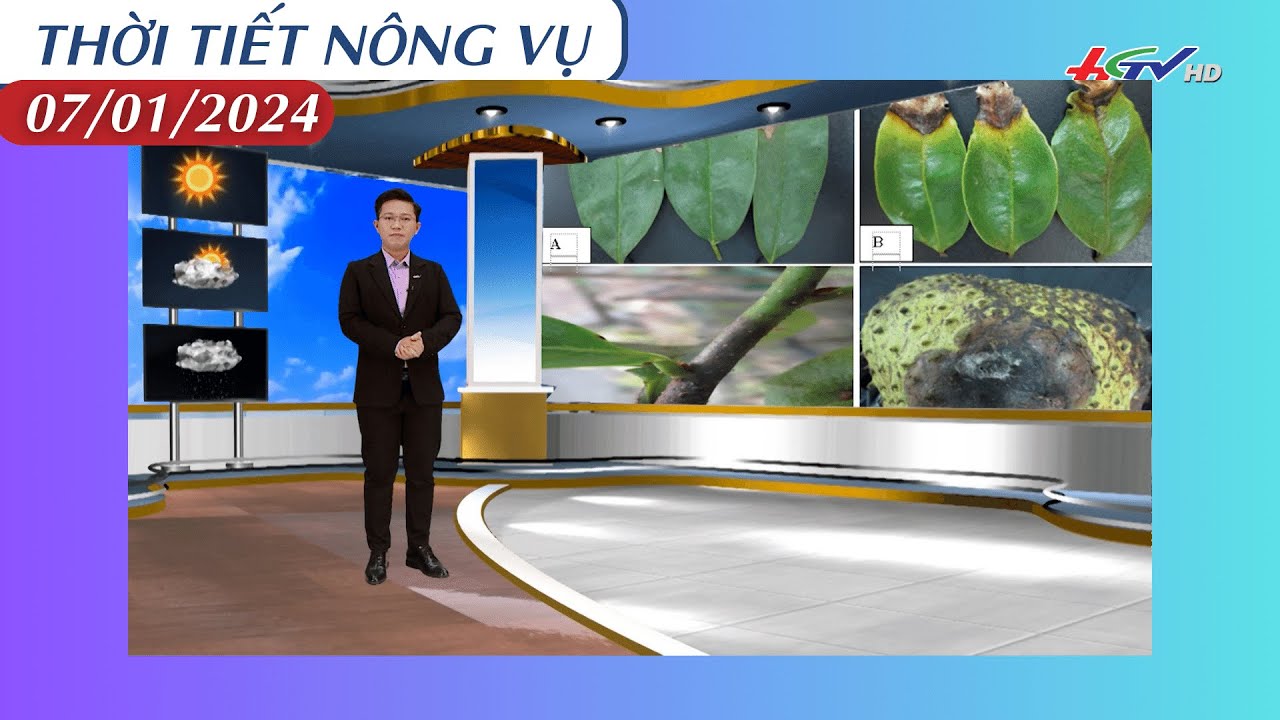 Thời tiết nông vụ 07.01.2024 | Truyền hình Hậu Giang