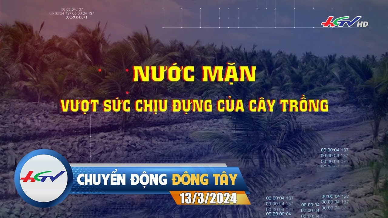 [🔴 Live] Chuyển động Đông Tây 13.3.2024 | Truyền Hình Hậu Giang