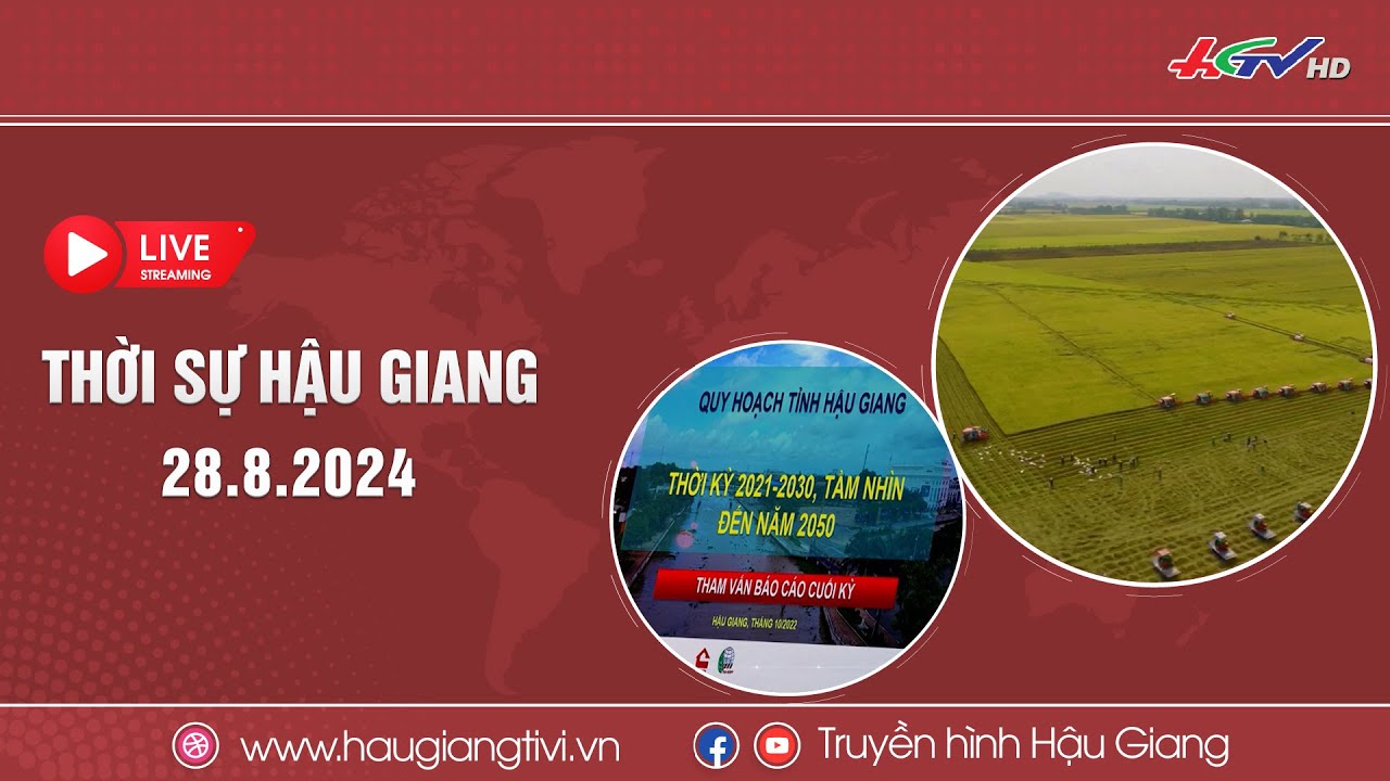 [🔴 Trực tiếp] Thời sự Hậu Giang 28.8.2024 | Truyền hình Hậu Giang