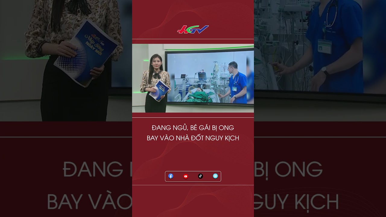 Đang ngủ, bé gái bị ong bay vào nhà đốt nguy kịch #shortshgtv | Truyền hình Hậu Giang