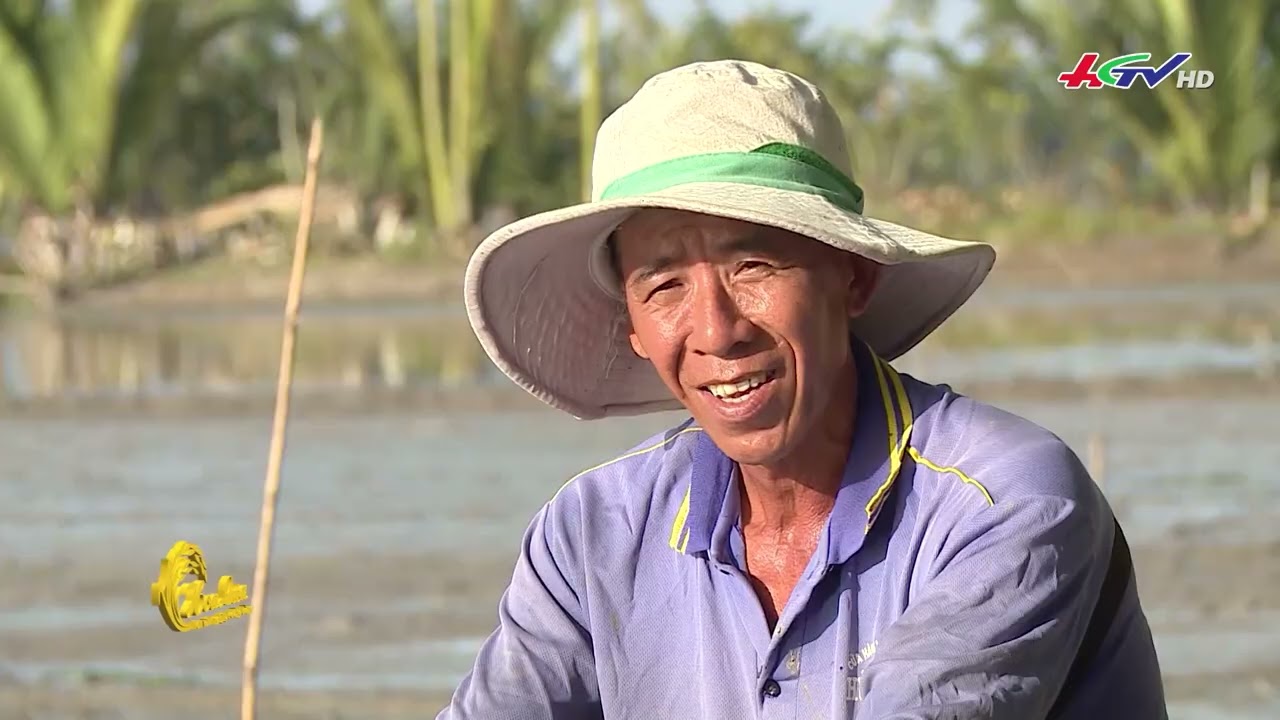 Ươm mầm tri thức | Học bổng hoa lúa - Truyền hình Hậu Giang