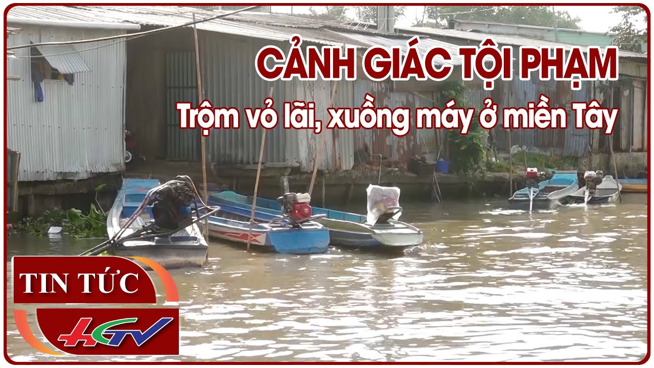 Cảnh giác tội phạm trộm vỏ lãi, xuồng máy ở miền Tây | Truyền hình Hậu Giang