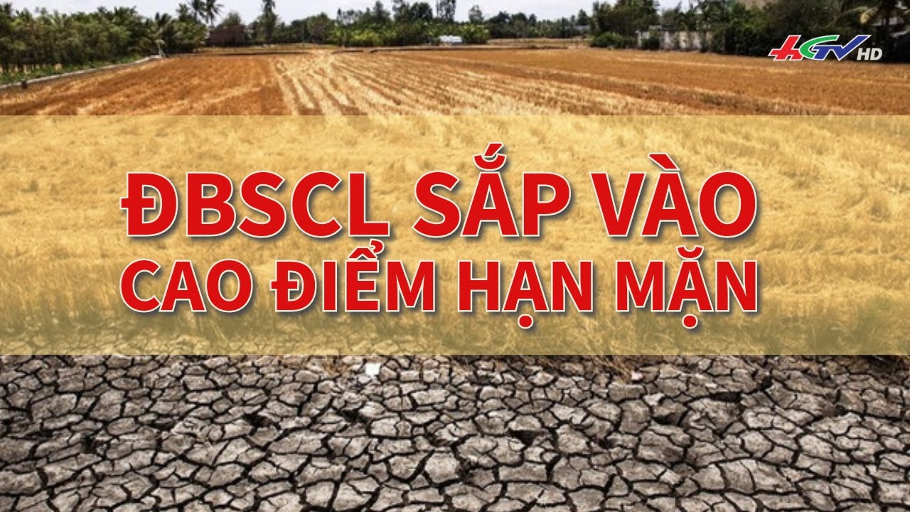 ĐBSCL sắp vào cao điểm hạn mặn| Truyền hình Hậu Giang