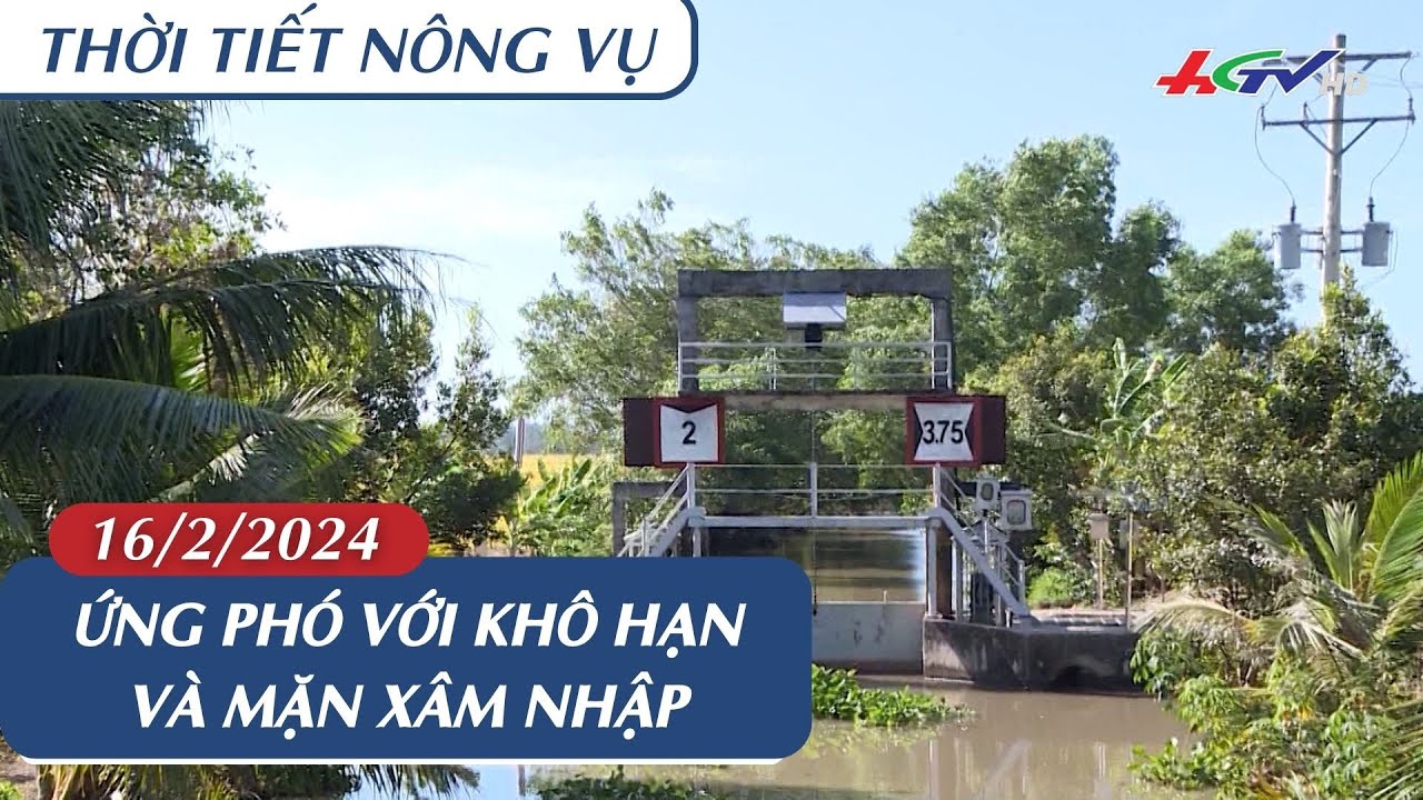 Thời tiết nông vụ 16.02.2024 | Ứng phó với khô hạn và mặn xâm nhập | Truyền hình Hậu Giang