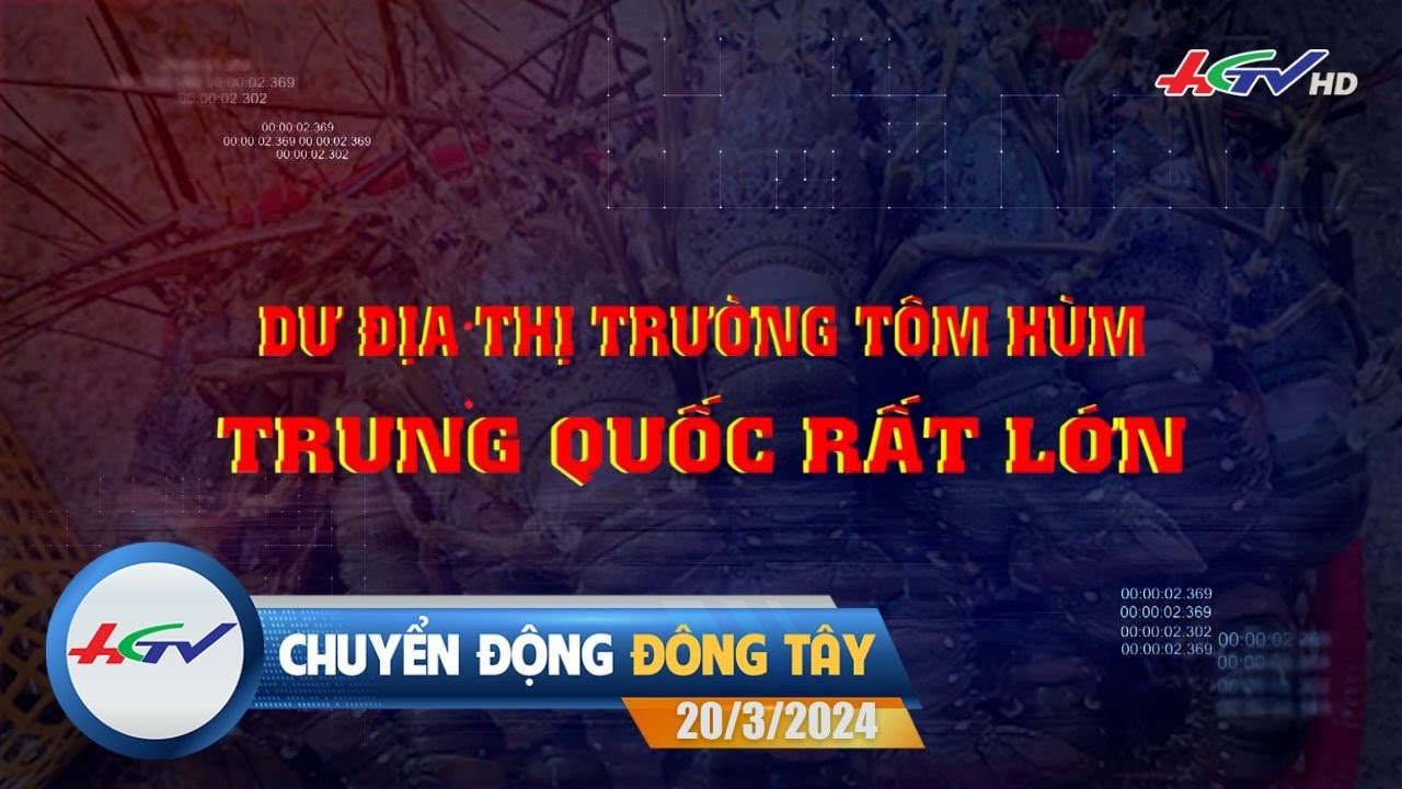 [🔴 Live] Chuyển động Đông Tây 20.3.2024 | Truyền Hình Hậu Giang