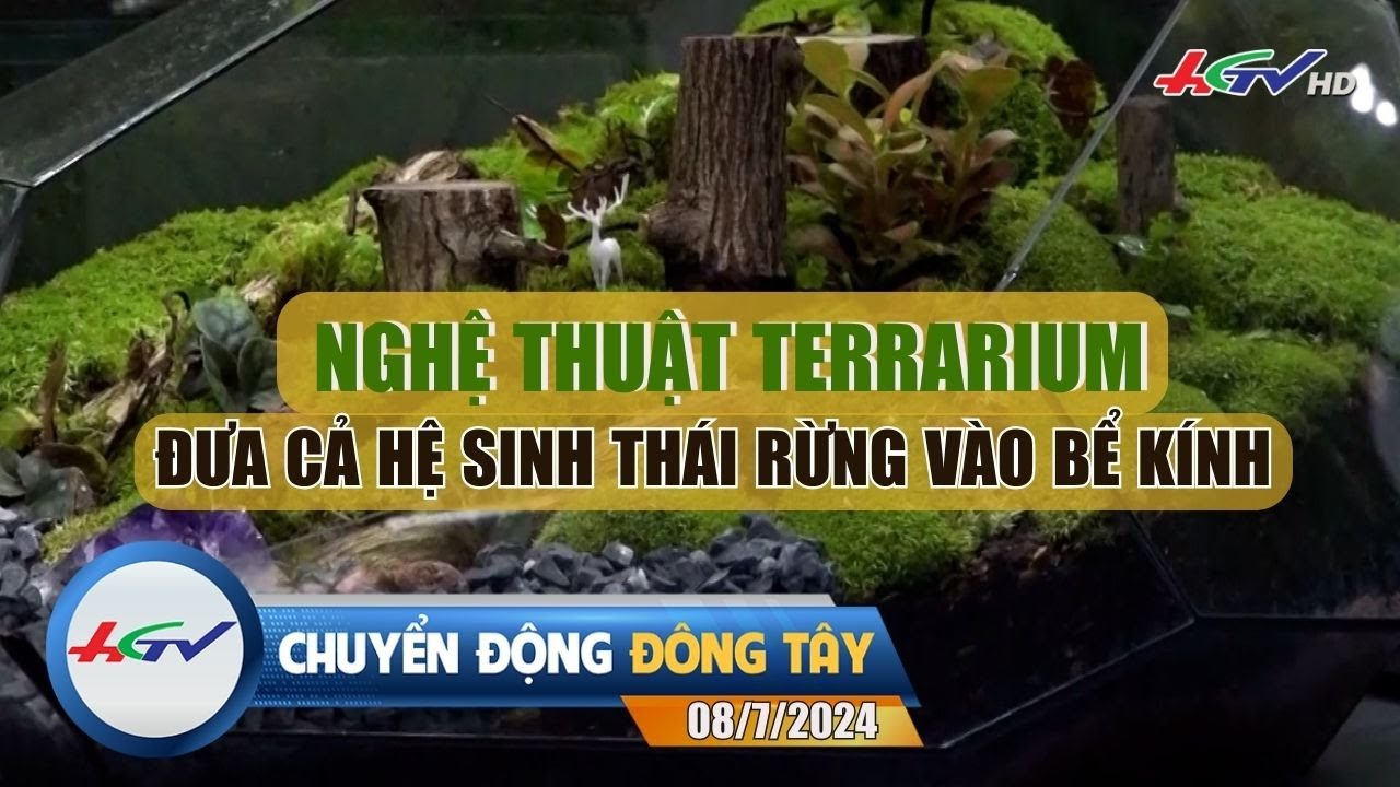 [🔴 Live] Chuyển động Đông Tây 08.7.2024 | Truyền Hình Hậu Giang