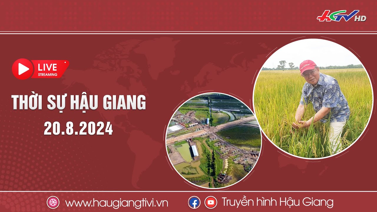 [🔴 Trực tiếp] Thời sự Hậu Giang 20.8.2024 | Truyền hình Hậu Giang