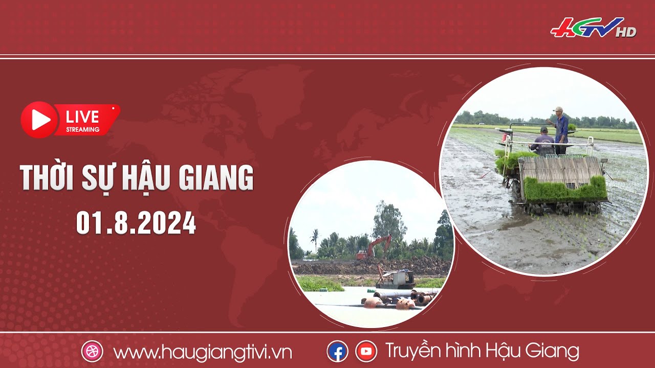 [🔴Trực tiếp] Thời sự Hậu Giang 01.8.2024 | Truyền hình Hậu Giang