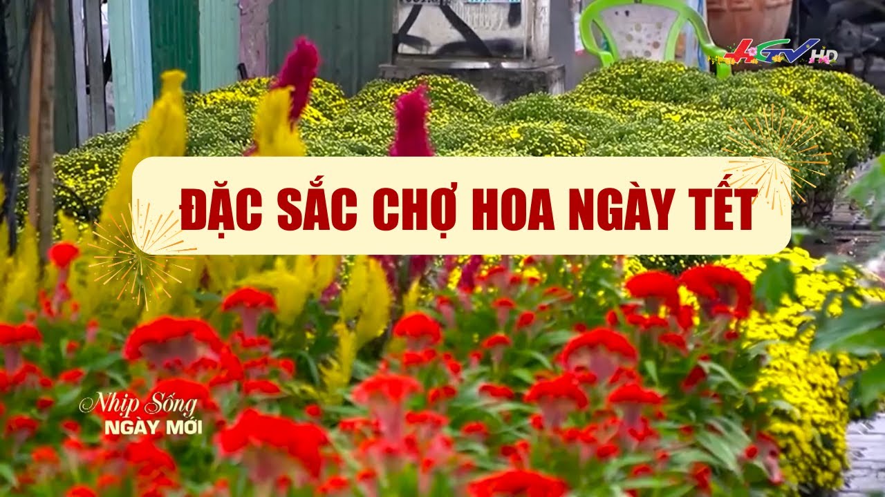 Đặc sắc chợ hoa ngày Tết  | Truyền hình Hậu Giang