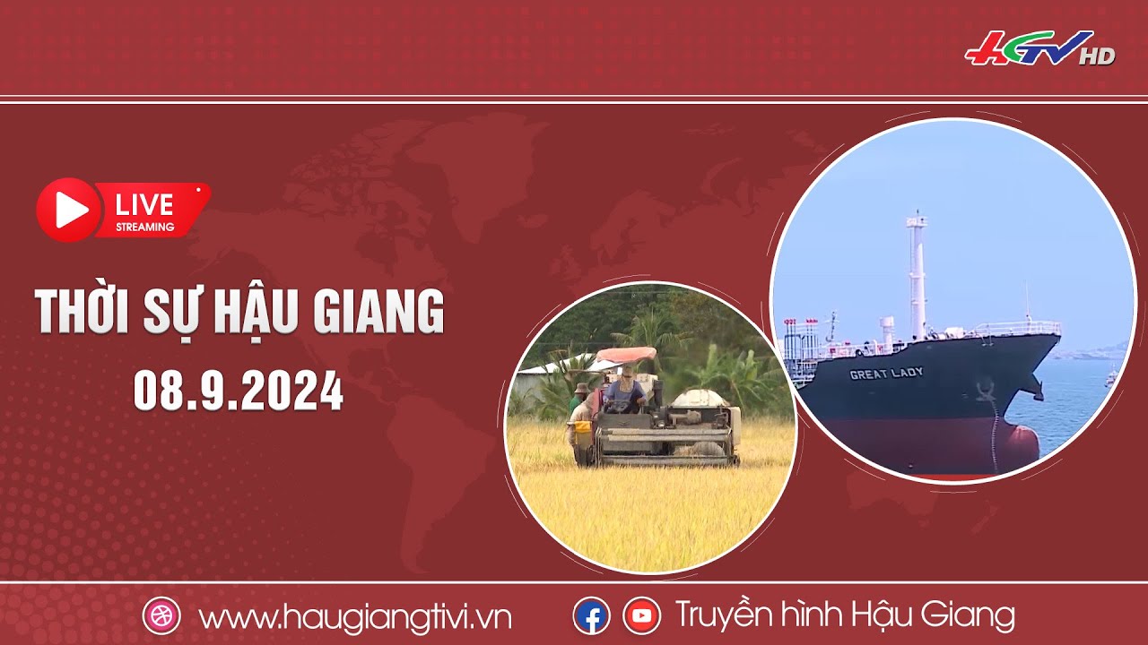 [🔴 Trực tiếp] Thời sự Hậu Giang 08.9.2024 | Truyền hình Hậu Giang