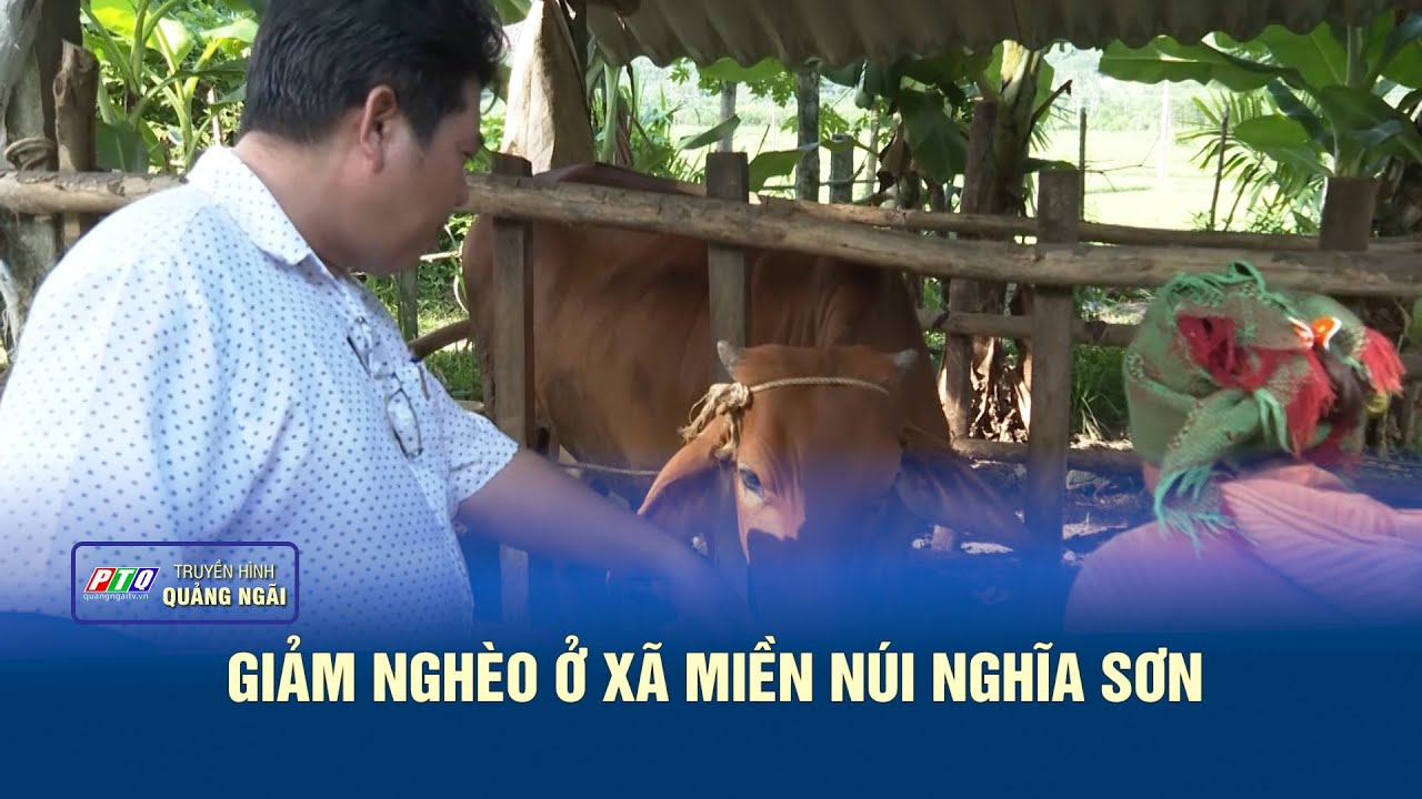 Giảm nghèo ở xã miền núi Nghĩa Sơn | PTQ