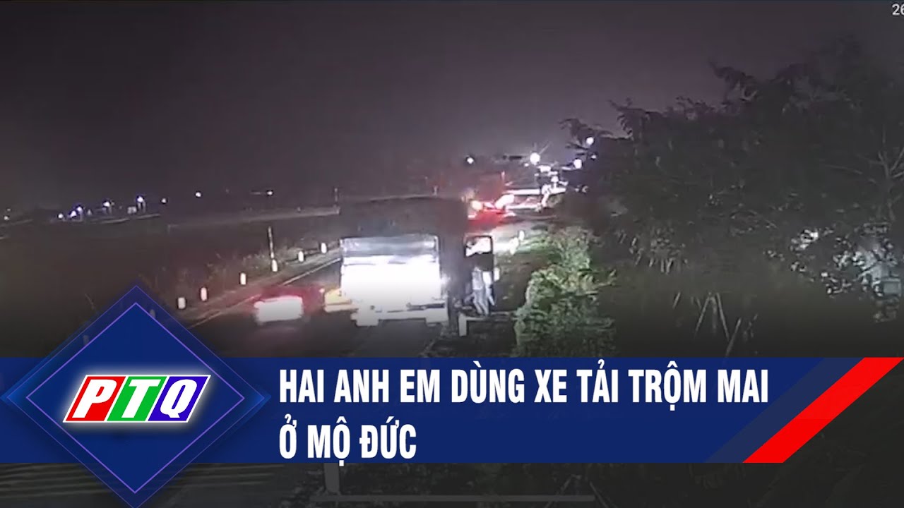 Hai anh em dùng xe tải trộm mai ở Mộ Đức  | PTQ