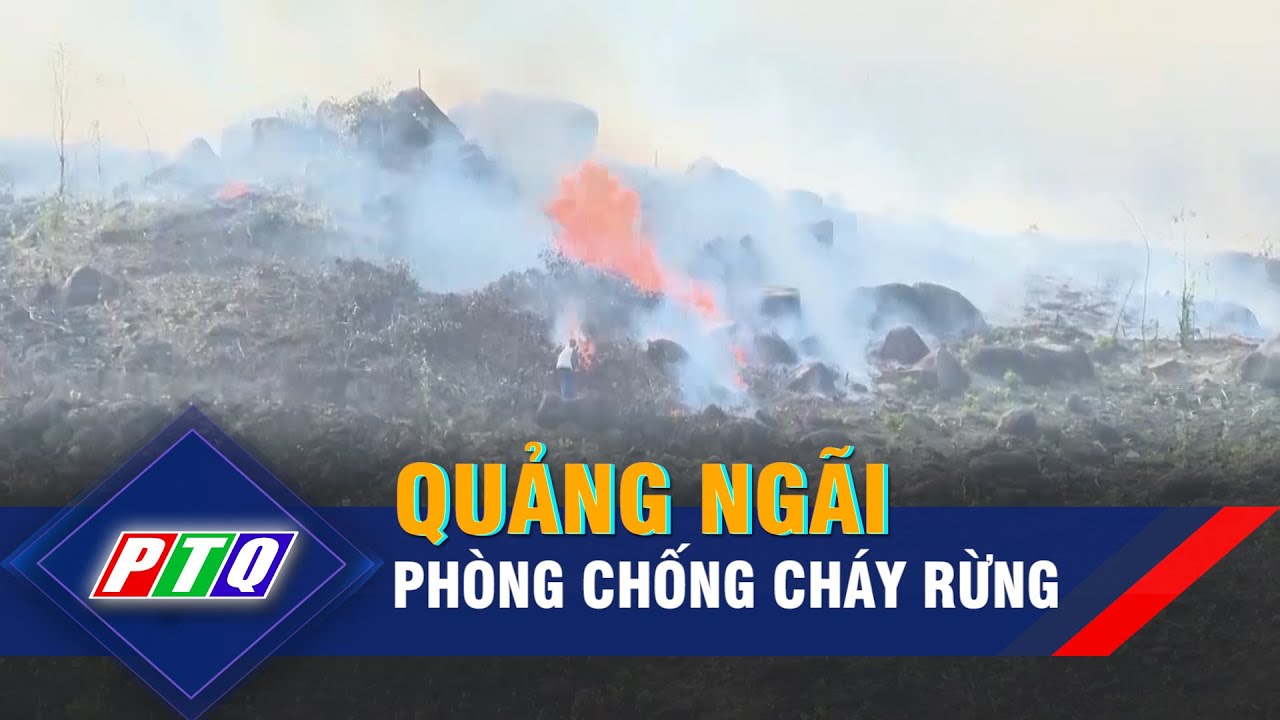 Quảng Ngãi phòng chống cháy rừng  | PTQ