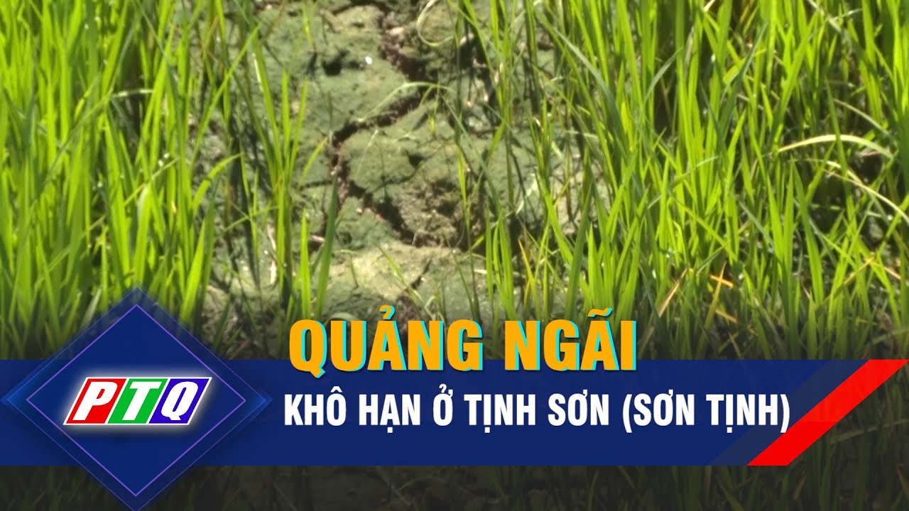 KHÔ HẠN Ở TỊNH SƠN | PTQ