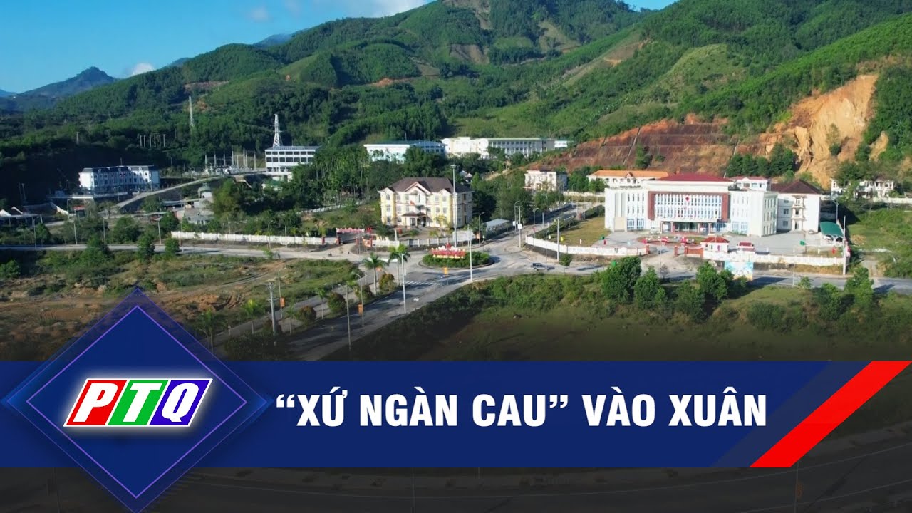 “Xứ ngàn cau” vào xuân | PTQ