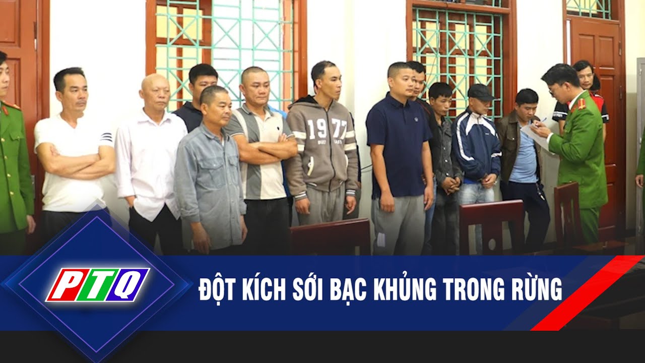 Đột kích sới bạc khủng trong rừng | PTQ