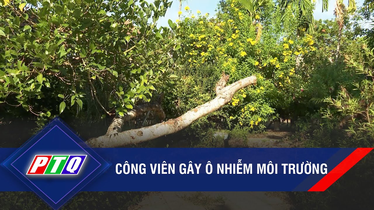 Quảng Ngãi: Công viên gây ô nhiễm môi trường | PTQ