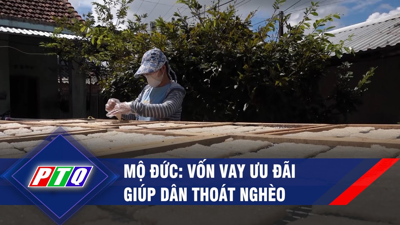 Mộ Đức: Vốn vay ưu đãi giúp dân thoát nghèo | PTQ