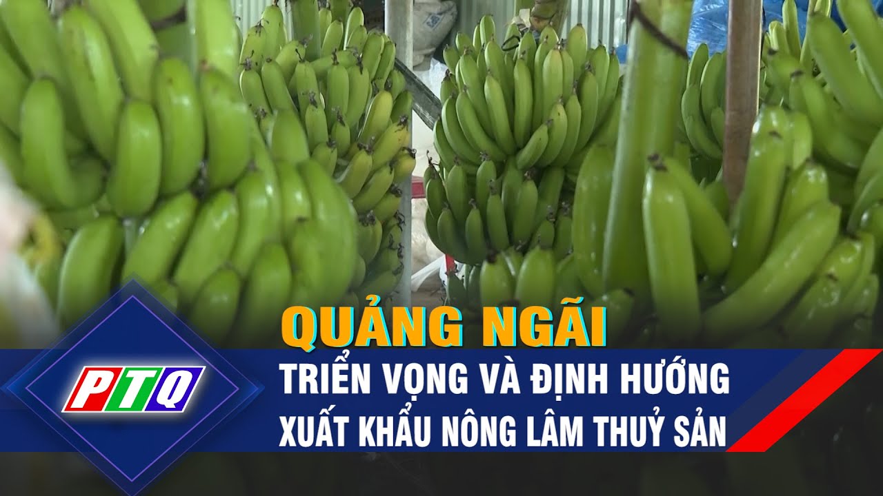 Quảng Ngãi: Triển vọng và định hướng xuất khẩu nông lâm thuỷ sản | PTQ