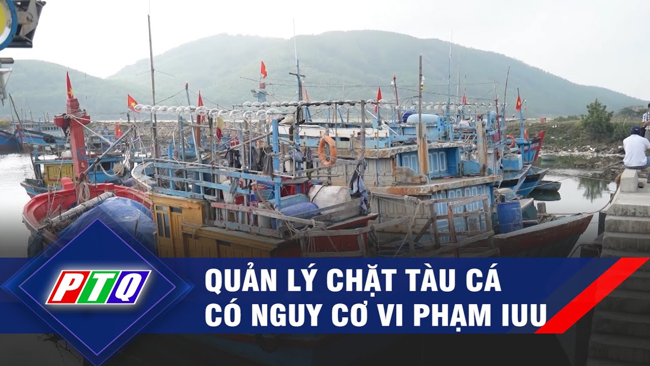 Quản lý chặt tàu cá có nguy cơ vi phạm IUU  | PTQ