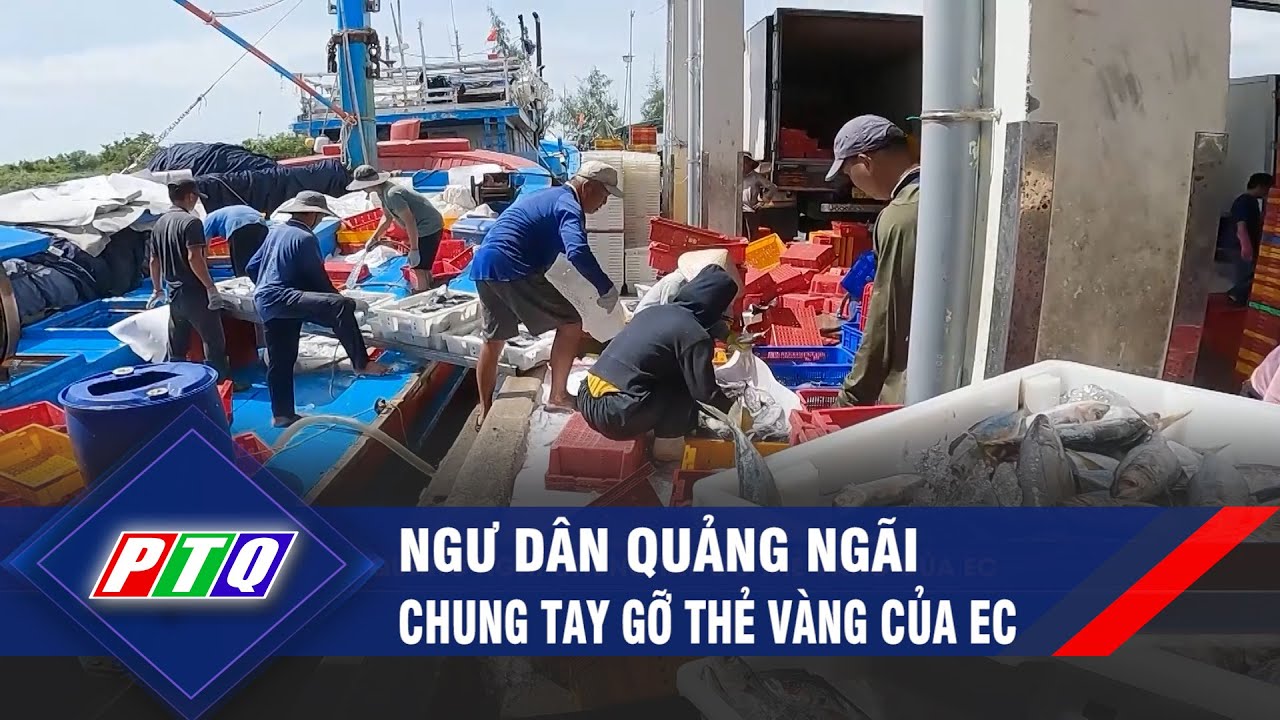 Ngư dân Quảng Ngãi chung tay gỡ thẻ vàng của EC | PTQ