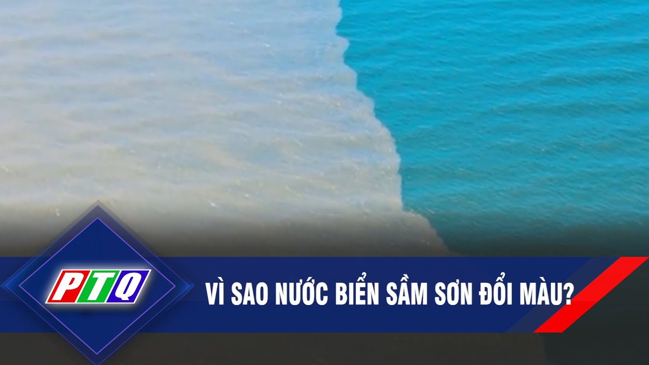 Vì sao nước biển Sầm Sơn đổi màu | PTQ