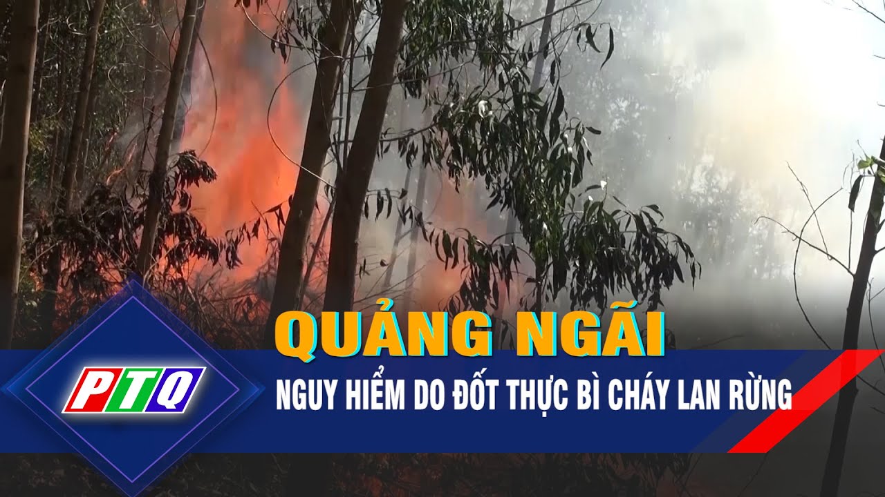 Quảng Ngãi: Nguy hiểm do đốt thực bì cháy lan rừng | PTQ