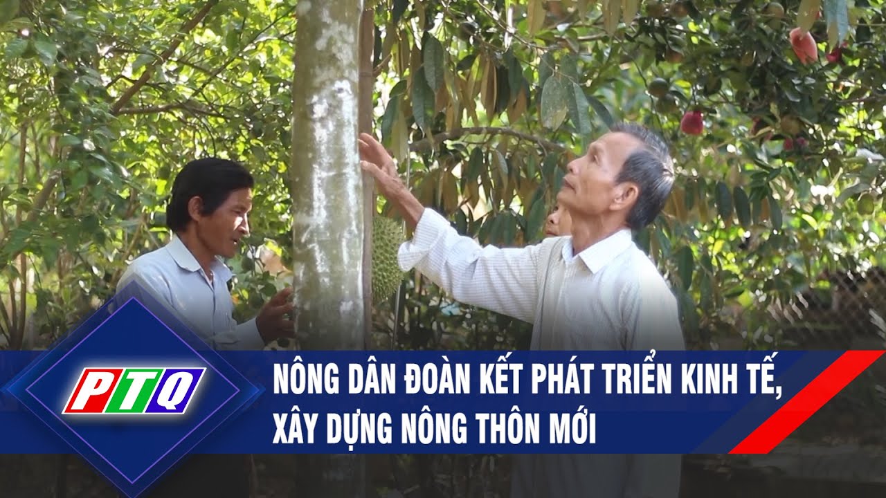 Nông dân đoàn kết phát triển kinh tế, xây dựng nông thôn mới | PTQ