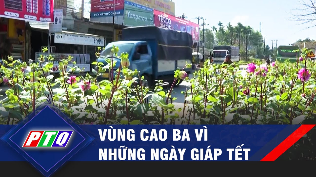 Vùng cao Ba vì những ngày giáp Tết  | PTQ