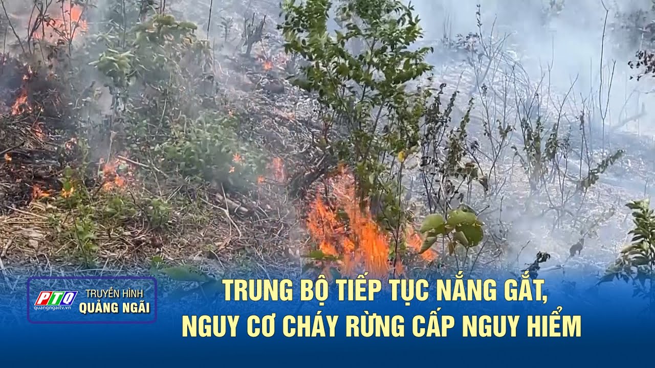 Trung Bộ tiếp tục nắng gắt, nguy cơ cháy rừng cấp nguy hiểm | TIN TỨC TỔNG HỢP | PTQ