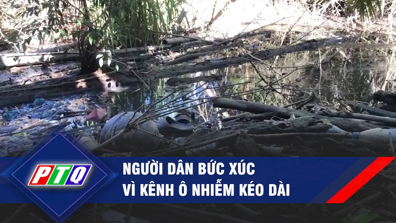 Quảng Ngãi: Người dân bức xúc vì kênh ô nhiễm kéo dài | PTQ