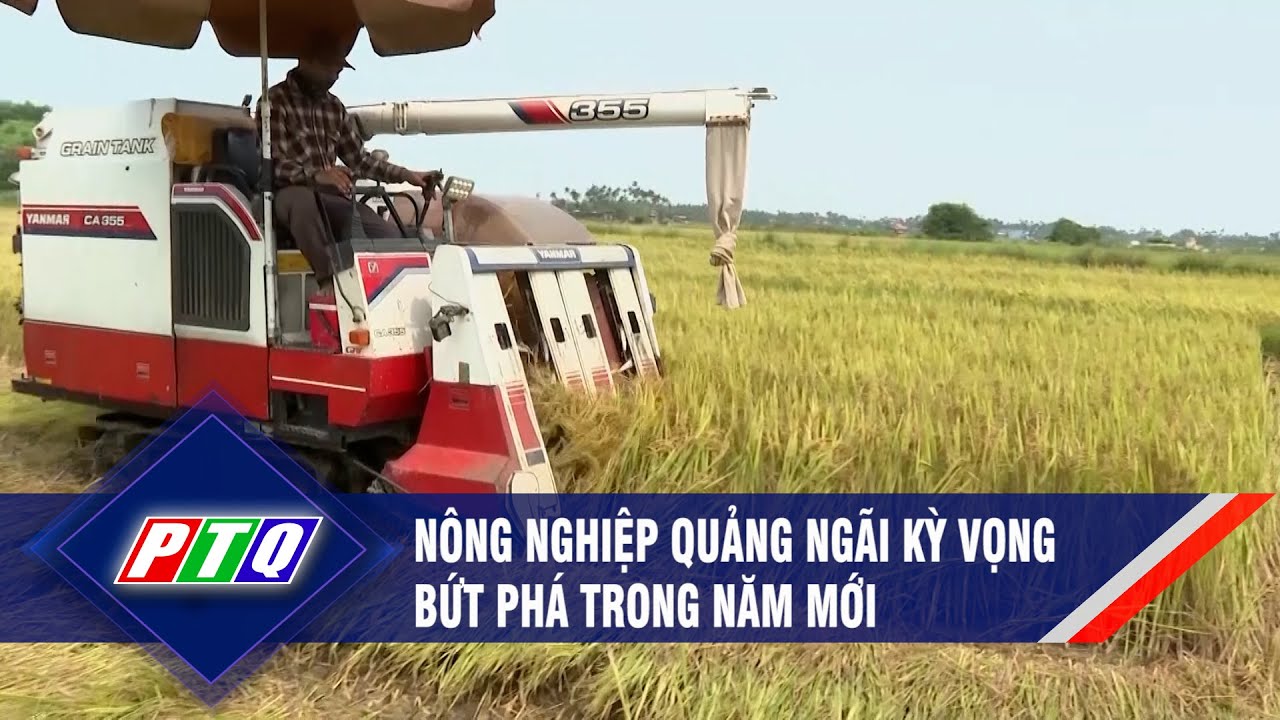 Nông nghiệp Quảng Ngãi kỳ vọng bứt phá trong năm mới   | PTQ