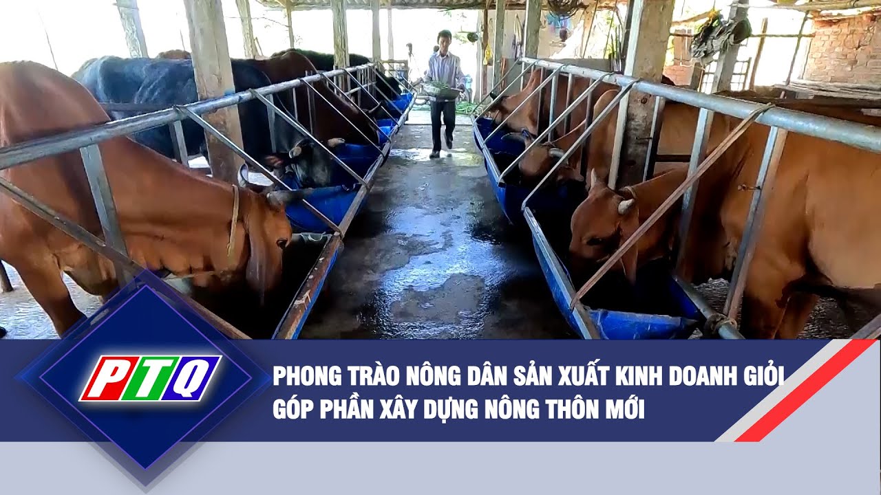 Phong trào nông dân sản xuất kinh doanh giỏi góp phần xây dựng nông thôn mới | PTQ