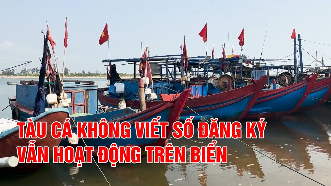 Tàu cá không viết số đăng ký vẫn hoạt động trên biển | PTQ