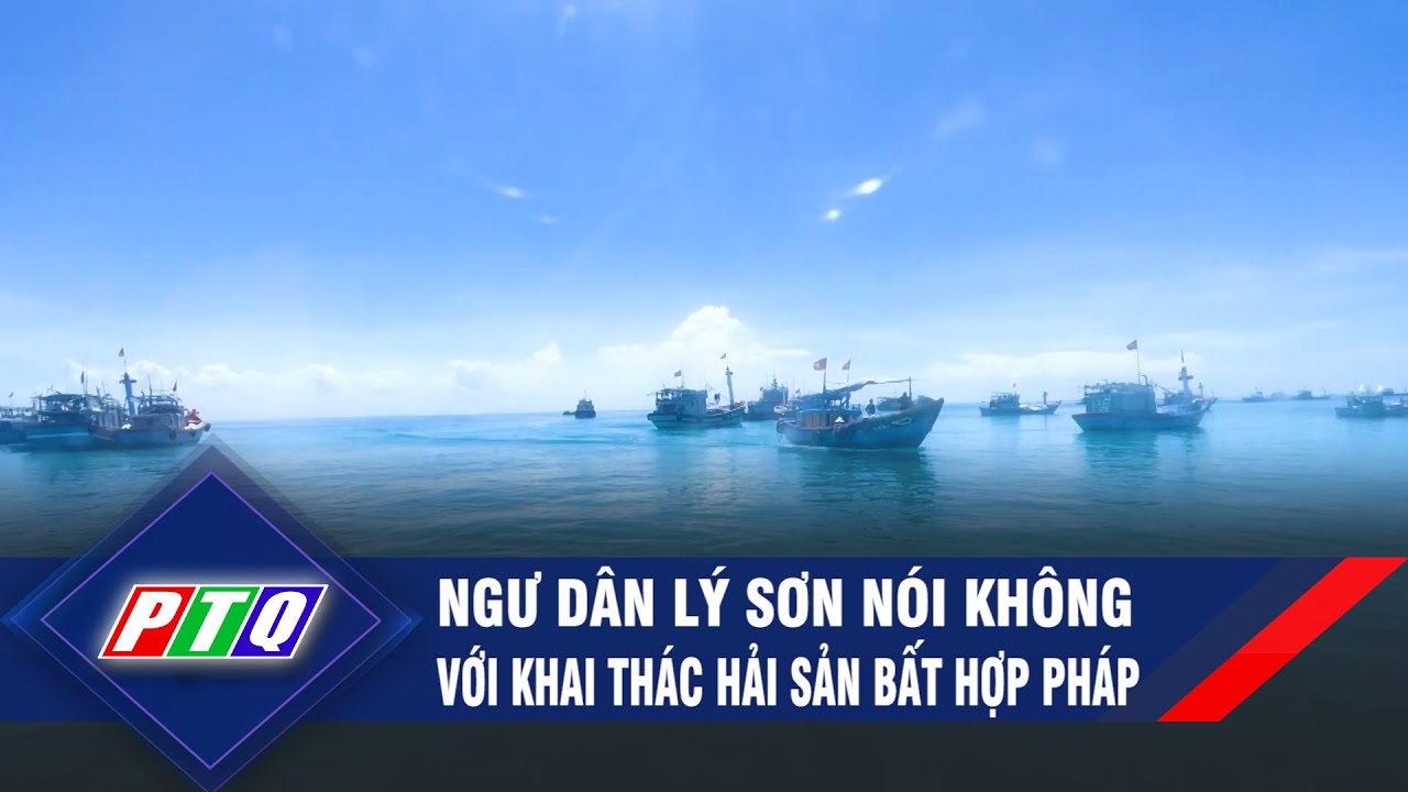 Ngư dân Lý Sơn nói không với khai thác hải sản bất hợp pháp  | PTQ