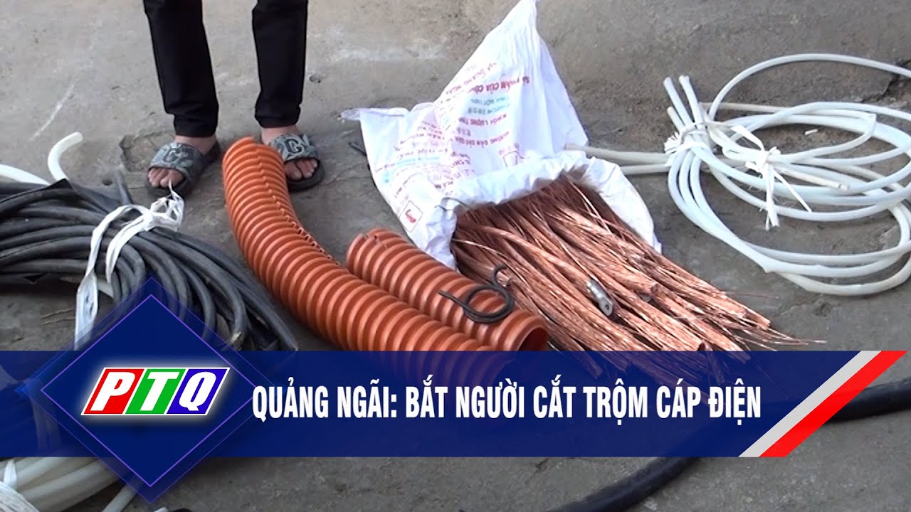 Quảng Ngãi: Bắt người cắt trộm cáp điện | PTQ