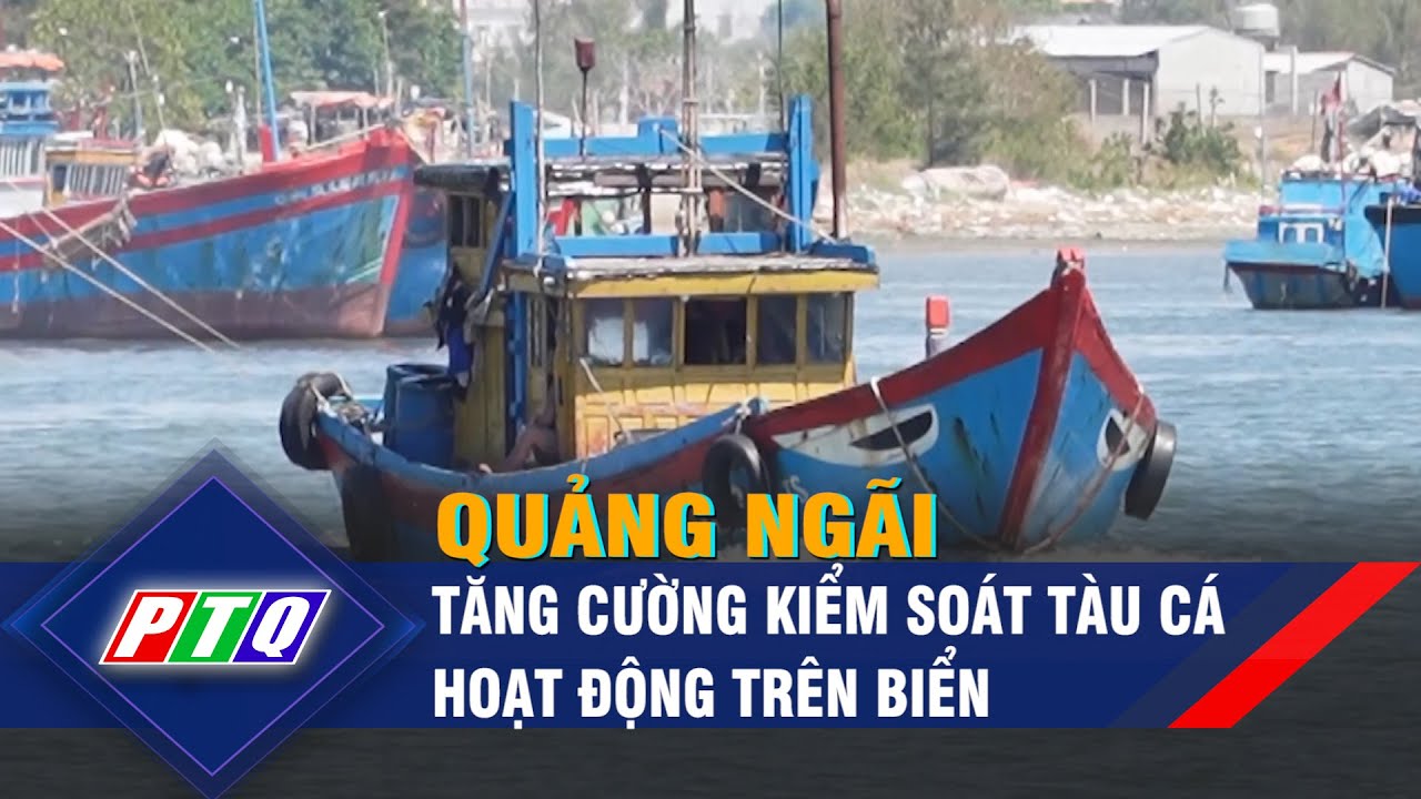 Quảng Ngãi: Tăng cường kiểm soát tàu cá hoạt động trên biển  | PTQ