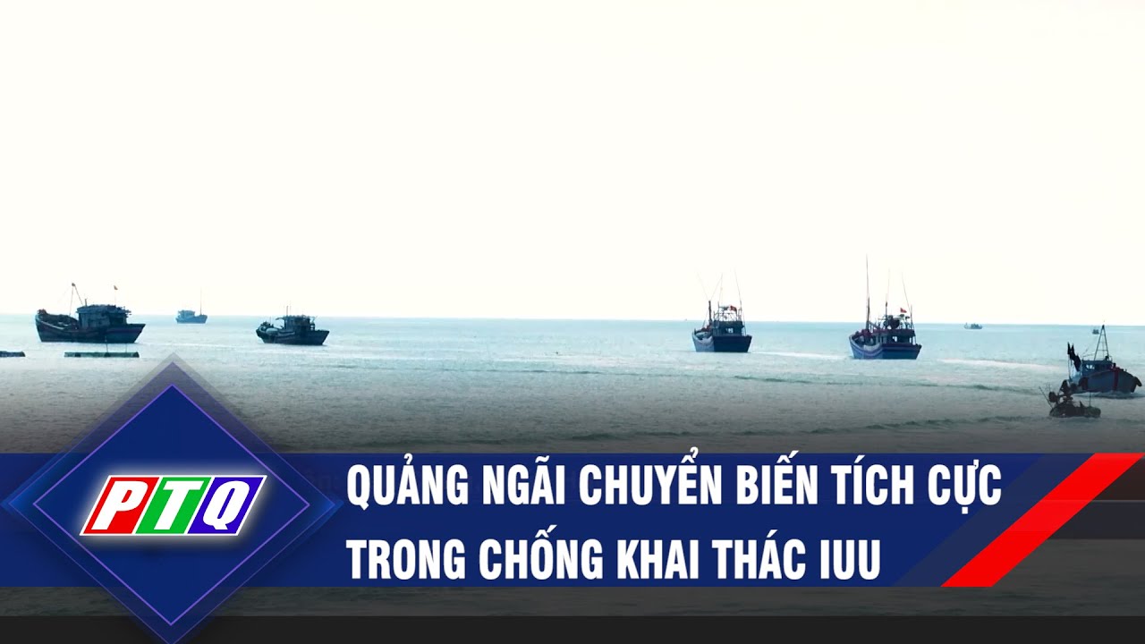 Quảng Ngãi chuyển biến tích cực trong chống khai thác IUU | PTQ