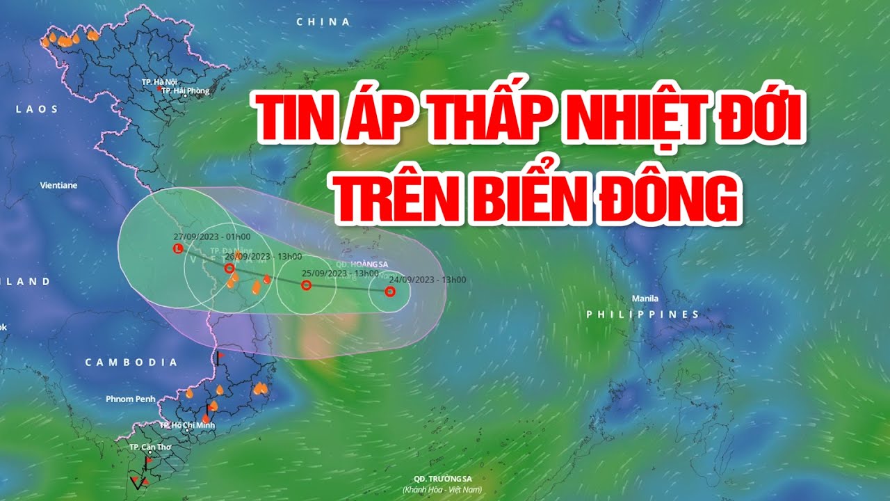 TIN ÁP THẤP NHIỆT ĐỚI TRÊN BIỂN ĐÔNG | PTQ