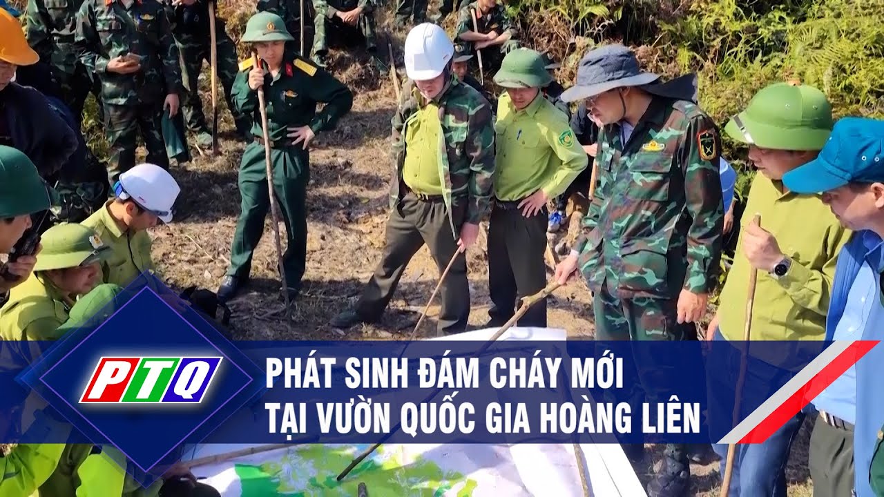 Phát sinh đám cháy mới tại Vườn quốc gia Hoàng Liên | PTQ