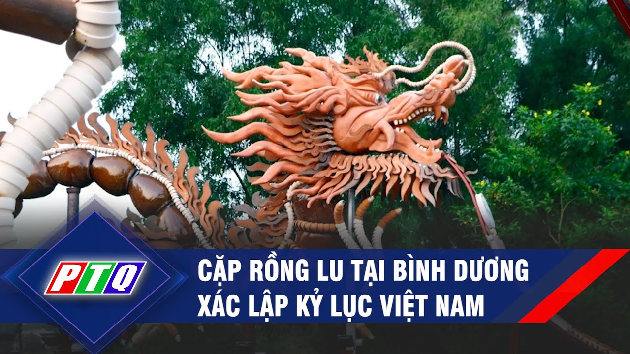 Cặp rồng lu tại Bình Dương xác lập kỷ lục Việt Nam | PTQ