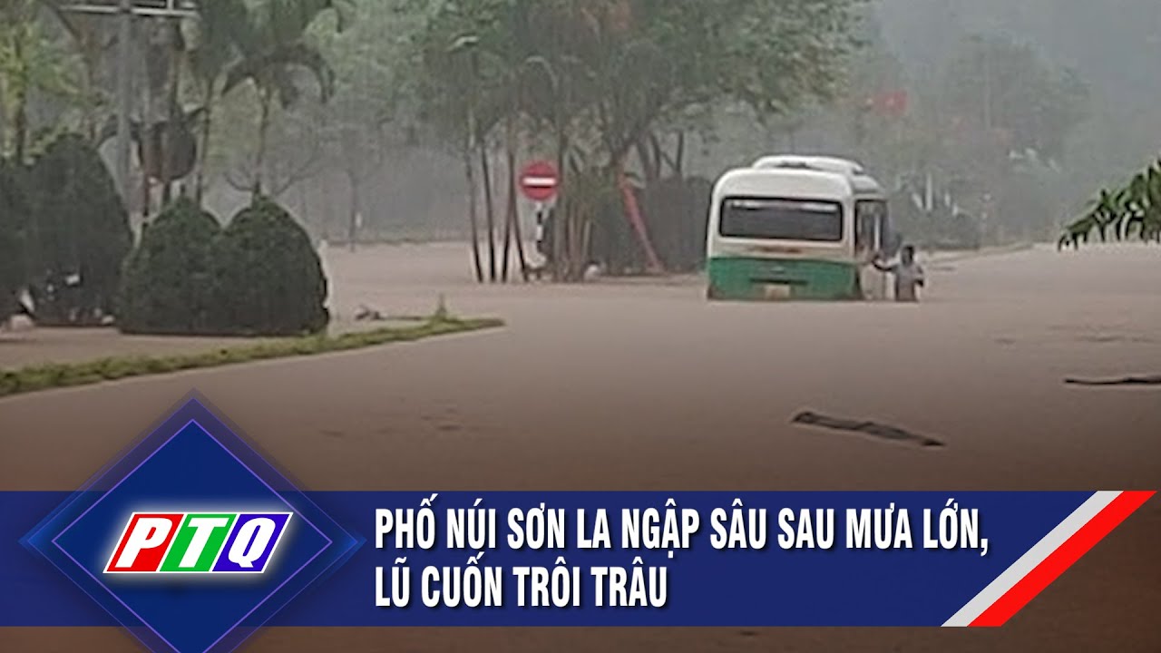 Phố núi Sơn La ngập sâu sau mưa lớn, lũ cuốn trôi trâu | PTQ