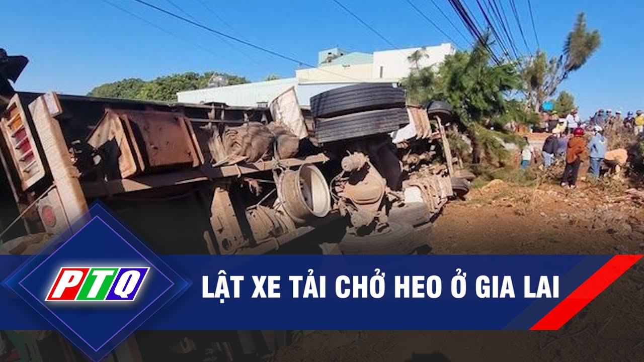 Lật xe tải chở heo ở Gia Lai  | PTQ