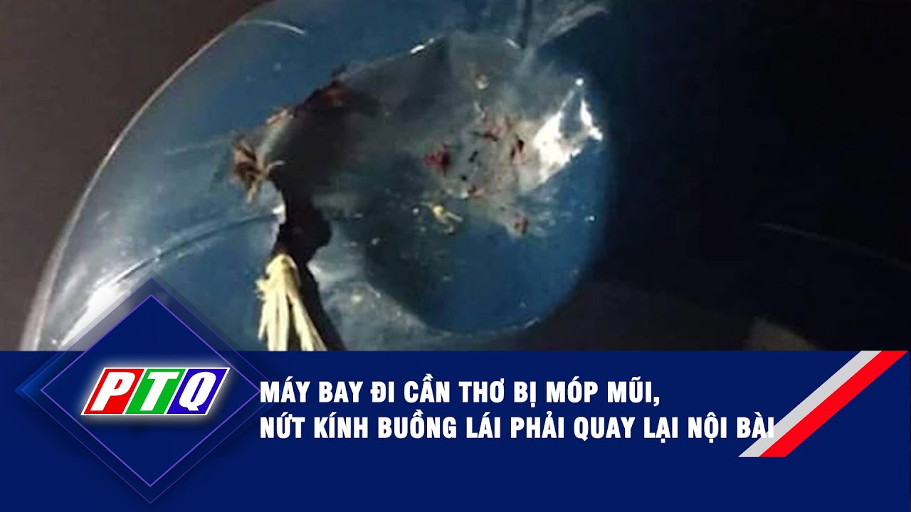 Máy bay đi Cần Thơ bị móp mũi, nứt kính buồng lái phải quay lại Nội Bài | PTQ