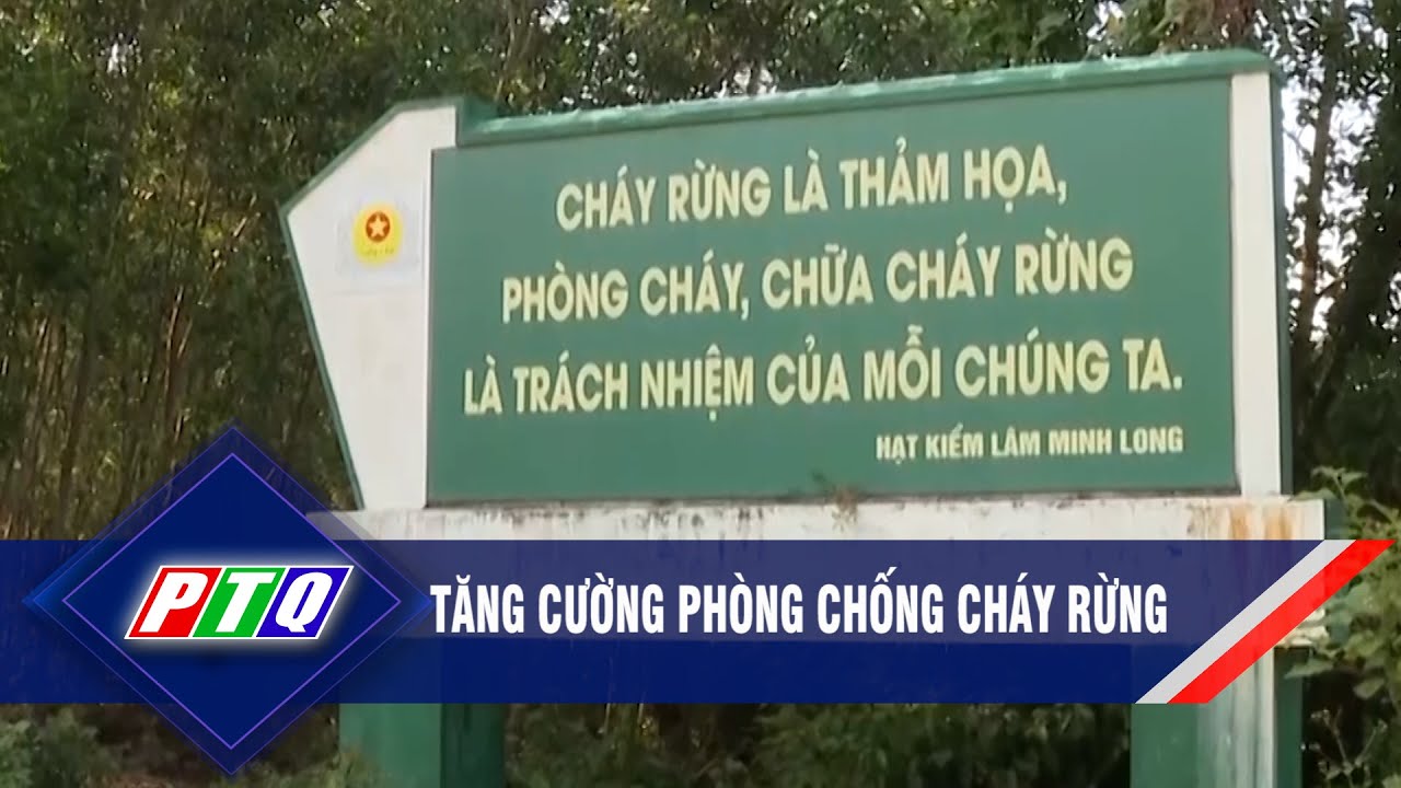 Tăng cường phòng chống cháy rừng   | PTQ