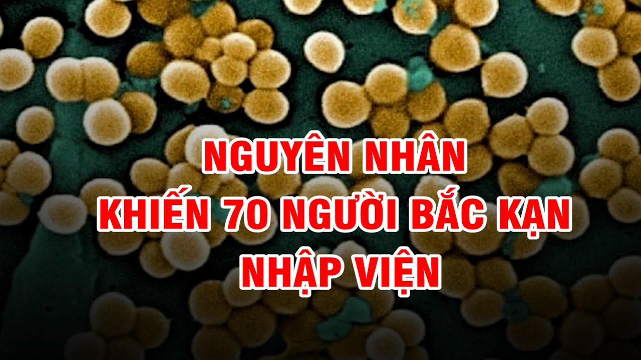 Nguyên nhân khiến 70 người Bắc Kạn nhập viện | PTQ