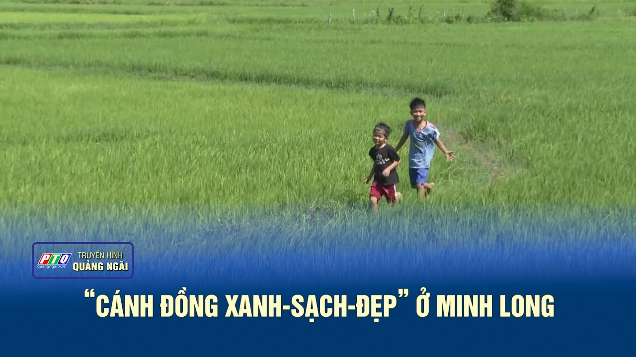 “Cánh đồng xanh-sạch-đẹp” ở Minh Long | PTQ