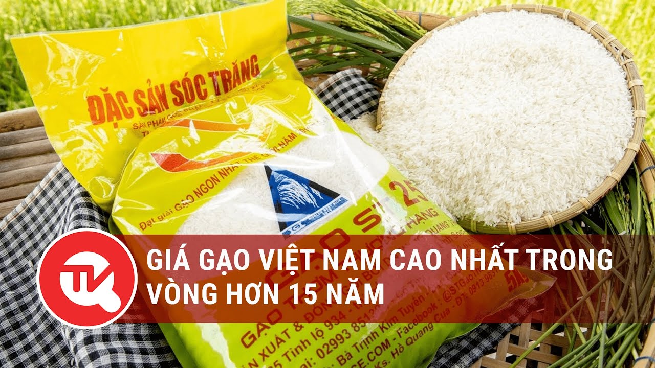 Giá gạo Việt Nam cao nhất trong vòng hơn 15 năm | Truyền hình Quốc hội Việt Nam