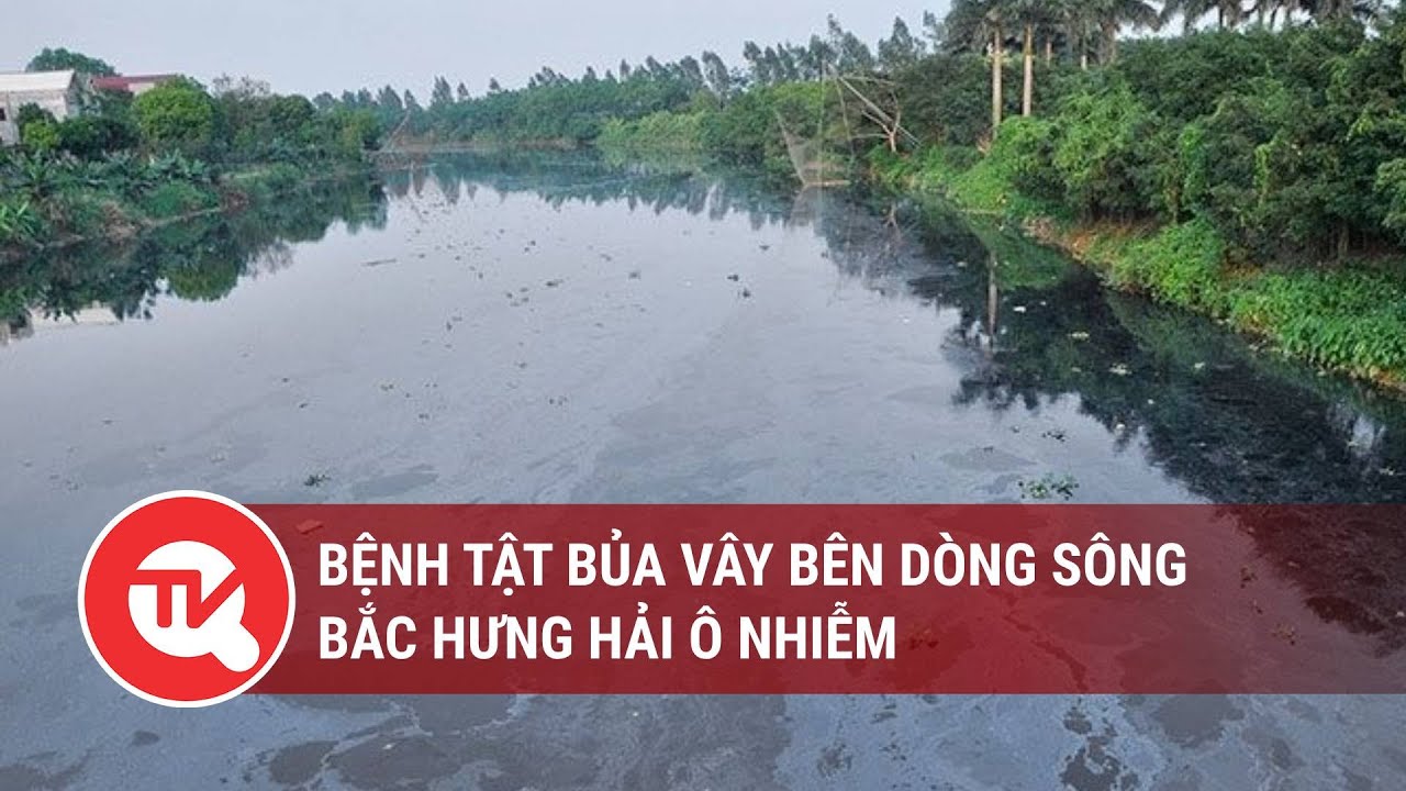 Bệnh tật bủa vây khi sống bên dòng sông Bắc Hưng Hải ô nhiễm | Truyền hình Quốc hội Việt Nam