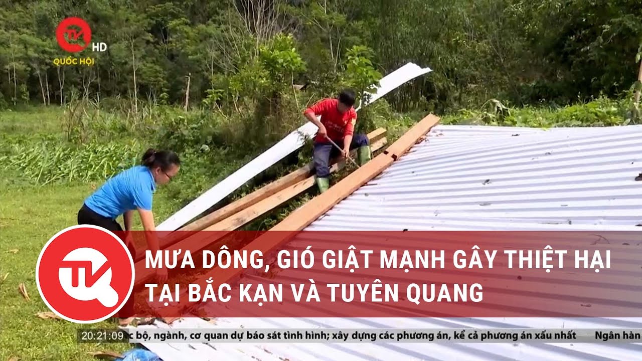 Mưa dông, gió giật mạnh gây thiệt hại tại Bắc Kạn và Tuyên Quang | Truyền hình Quốc hội Việt Nam